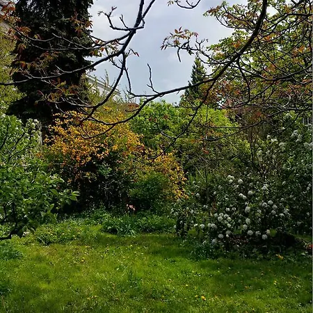 The Garden In The City Prague