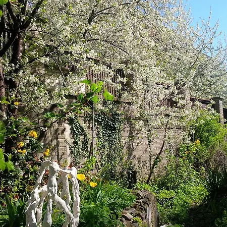 The Garden In The City *