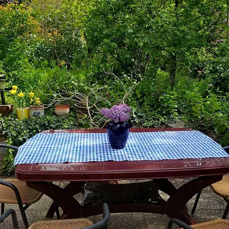 The Garden In The City