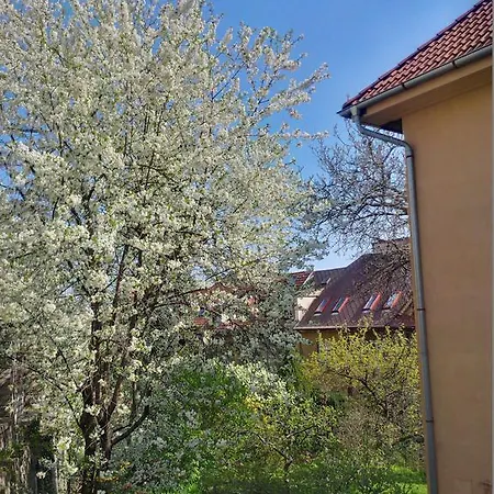 The Garden In The City *